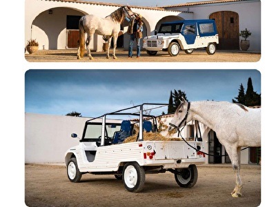 eSTory: de Favoriet van de Manege, Nu Fluisterstil en Elektrisch