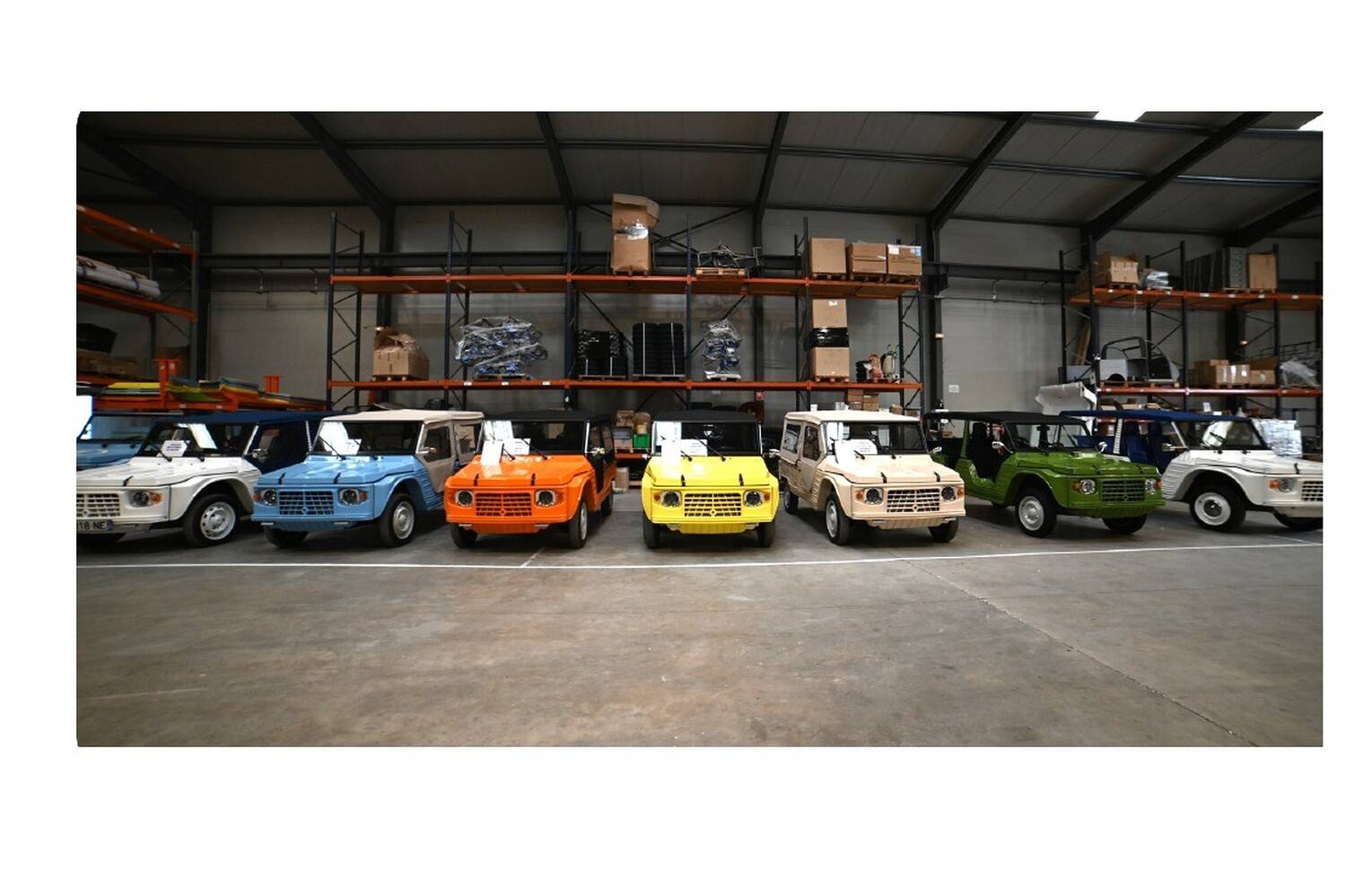 EU Car Import 